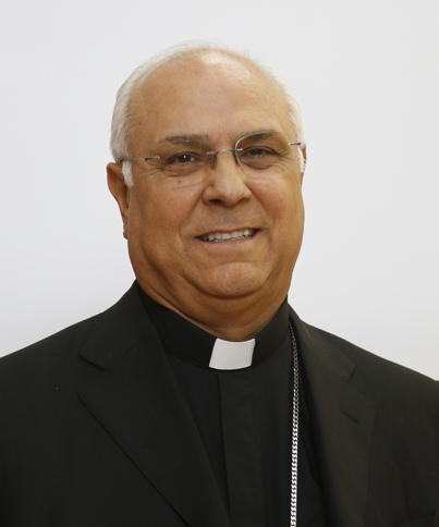 S.E.R. Mons. Vincenzo Bertolone