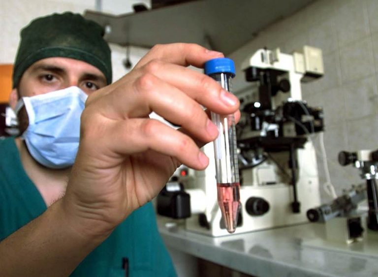 fecondazione fecondazione