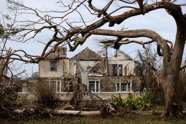 WhatsApp Image 2025-11-07 at 10.49.45